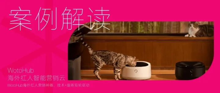 上百美元的自动喂食器，为什么欧美宠物主愿意买单？