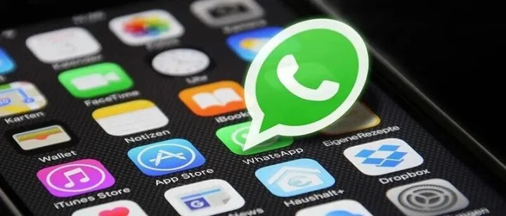 效率up！6个WhatsApp使用技巧！