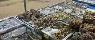 细看福州普通家庭的生活方式，就能明白这里为何越来越受欢迎