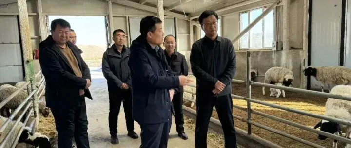 原卓资县长么海明已任乌拉特中旗旗委书记