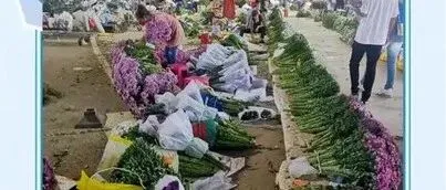 云南昆明有个“奇怪”的鲜花市场，整条街都是来拿货的，外地人见了都震惊？