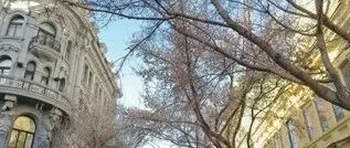 第一次去哈尔滨，不吐不快：当地人的真诚让我彻底服气