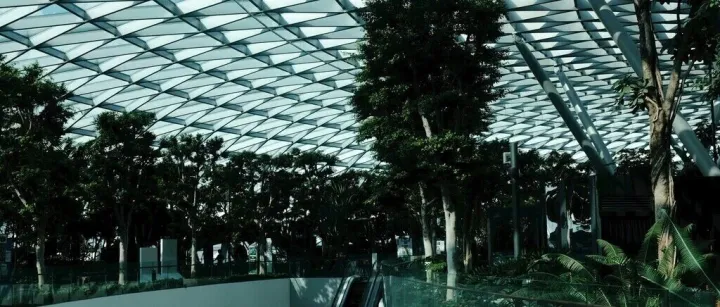 杭州“西湖缩略图”开进商场了！龙翔桥这个综合体，把“曲院风荷”搬进玻璃穹顶，免费逛拍，下雨也诗意。