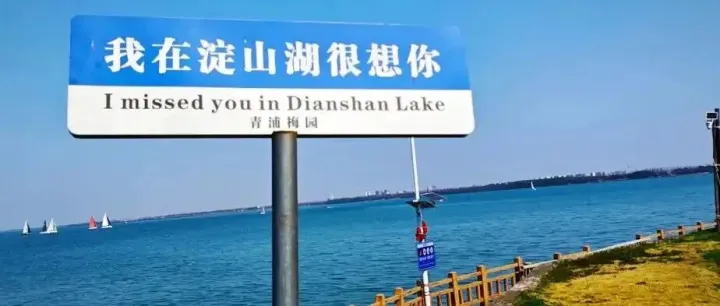 青浦跨镇拓城规划集中落地，淀山湖周边居民别只盯着扩容带来的短期红利