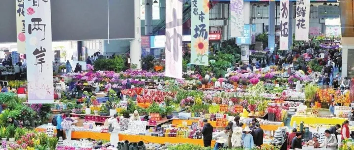大动作！昆明市宣布呈贡区部分街道拆分重组，斗南与龙城街道“分家”，新昆明CBD露真容！