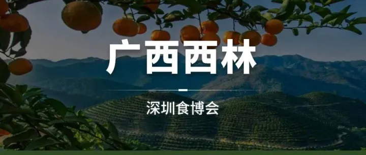 逛展必打卡！粤桂协作·广西西林县携7款国家地理标志好物亮相深圳食博会