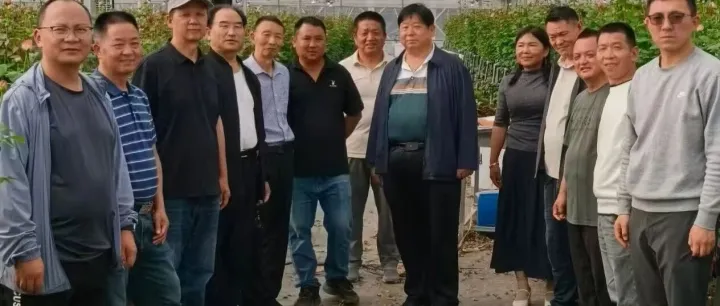 武定县狮山镇商会组织“企业家看企业”暨民营经济人士理想信念教育活动