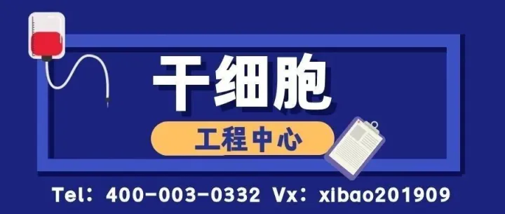 重点关注！福建省办理干细胞回输中心大全（2026最新价格一览表）