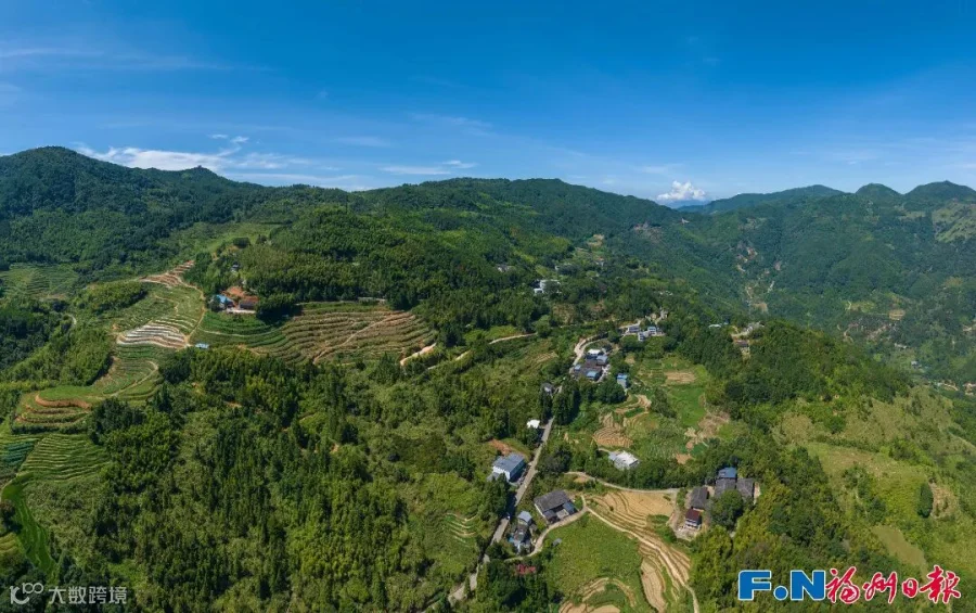 茶苑村坐落于海拔八百余米的高山上。_2025-08-08_林双伟_原图_20251004_20251010110619764_3570 (1).jpg