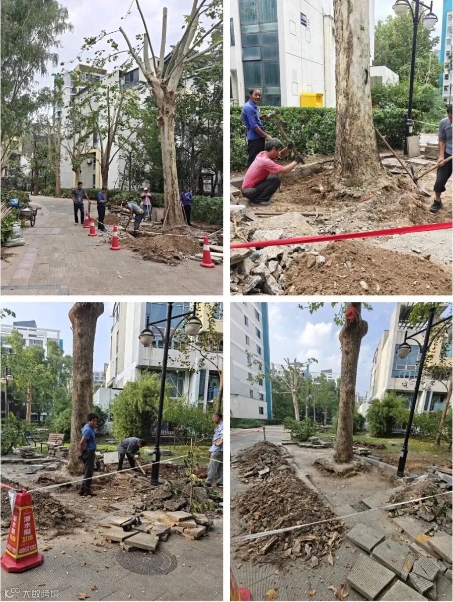 微信图片_2025-10-15_144350_301.jpg
