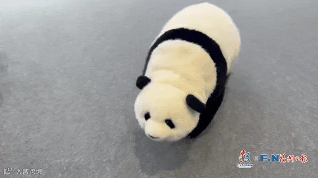 3.gif