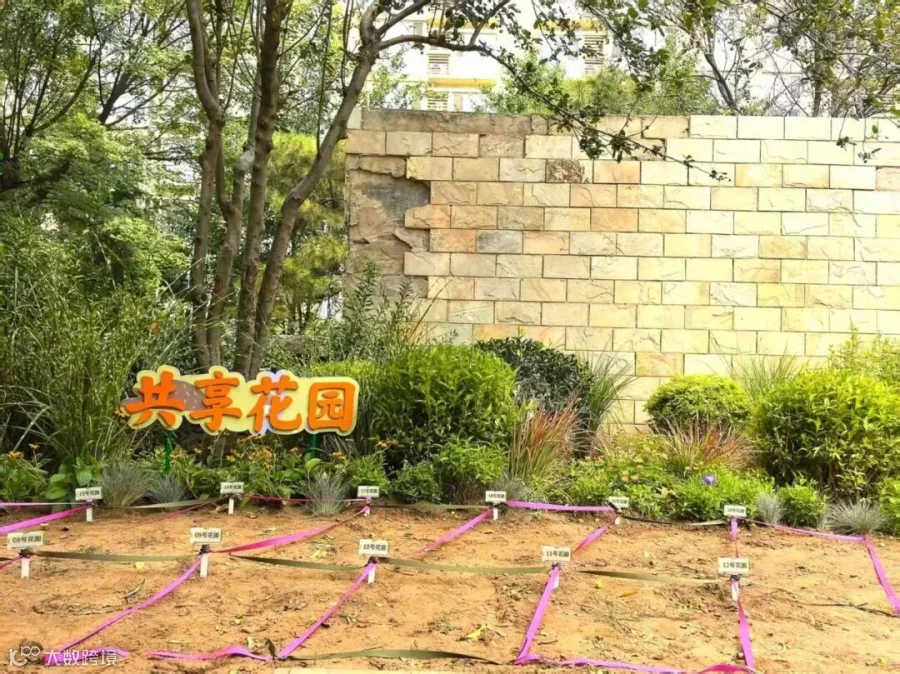 微信图片_2025-11-10_171820_453.jpg
