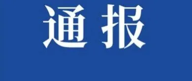 全国性行业协会商会领域违规违纪违法典型案例