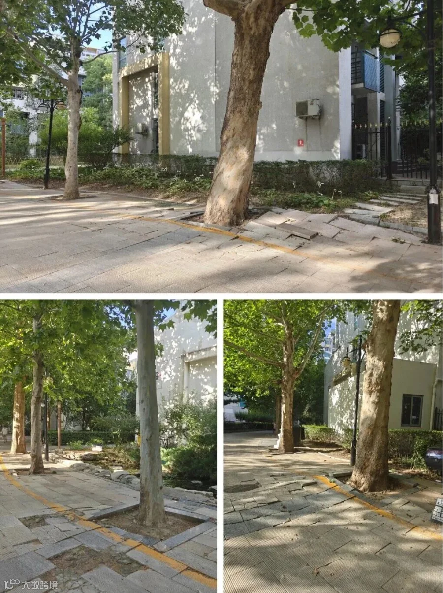 微信图片_2025-10-15_144331_586.jpg