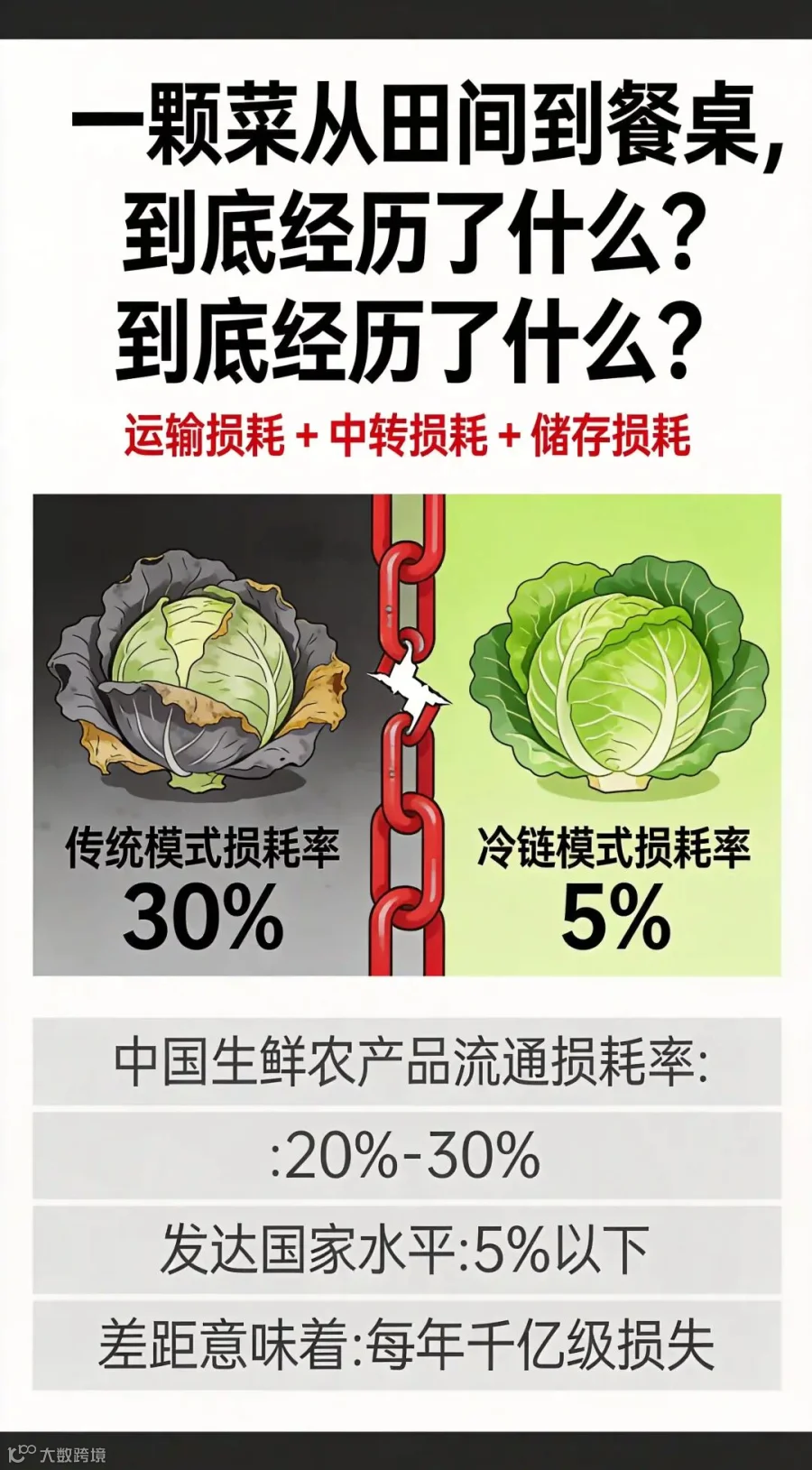 /app/data/所有对话/主对话/imgs/260624_15_生图/liutong_coldchain_art_0.jpg