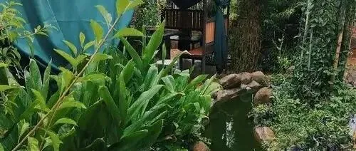 昆明呈贡区山脚下的农家乐集中治理后，那些拆迁农户如今靠什么生活维持生计？