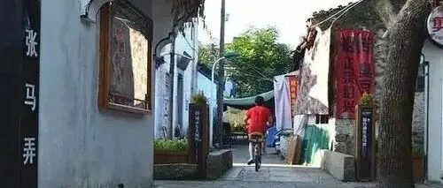 绍兴马弄开了二十五年现炒不预制的苍蝇馆子，四点就开始排队的阵仗让旁边精致餐厅看傻了