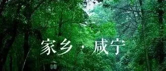 湖北咸宁将迎新县级市？23公里连接线贯穿，板块协同释放更大潜力！