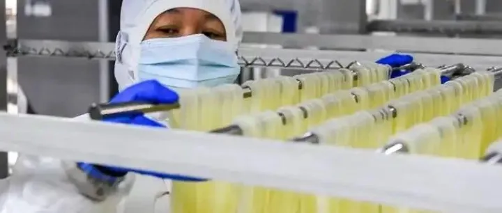 广西柳州最“够味”的工业城：螺蛳粉先出圈，真正硬的却是它替西南扛起的汽车与机械底盘