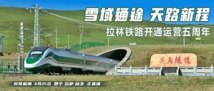 预告！五周年了，这场直播一定要看……