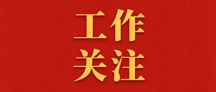 全国性行业协会商会领域违规违纪违法典型案例