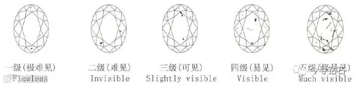 1564543924288784.jpg