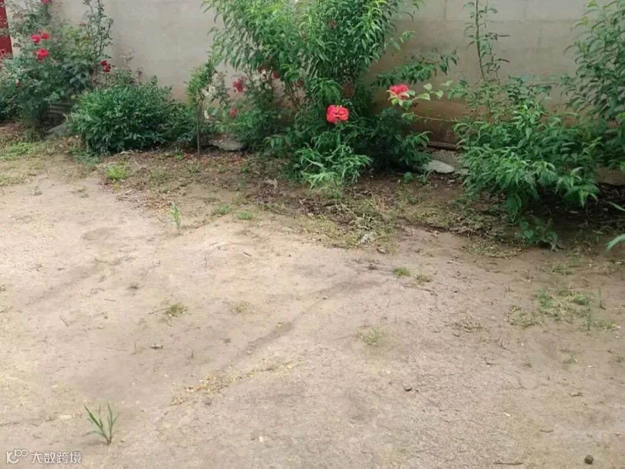 a99b613783733547c41dddd88cd5c05.jpg