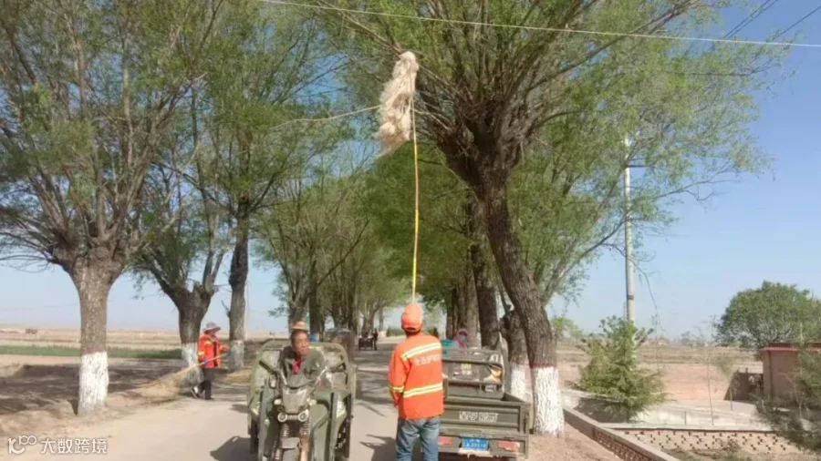微信图片_20250501172611.jpg
