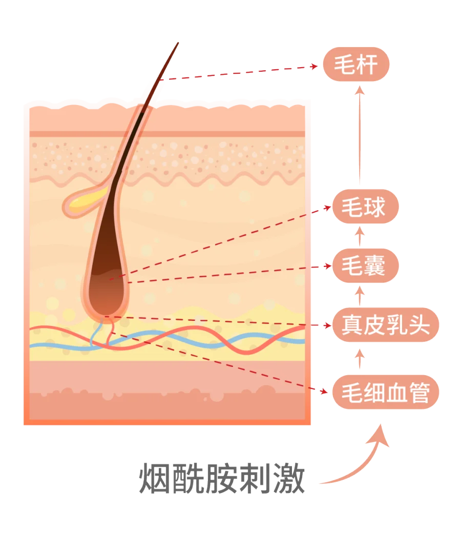公众号配图-07.png