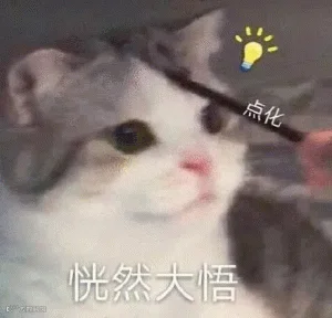 小猫咪点化 恍然大悟表情包 猫咪被点化后恍然大悟的可爱模样，萌翻了表情包图片gif动图 - 求表情网,斗图从此不求人!