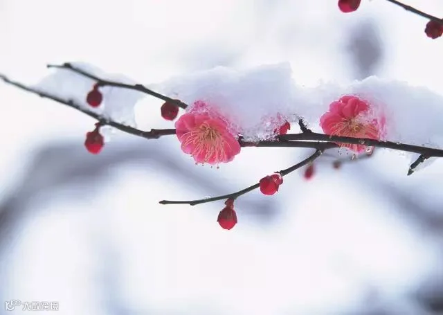 VCG41122656489.jpg