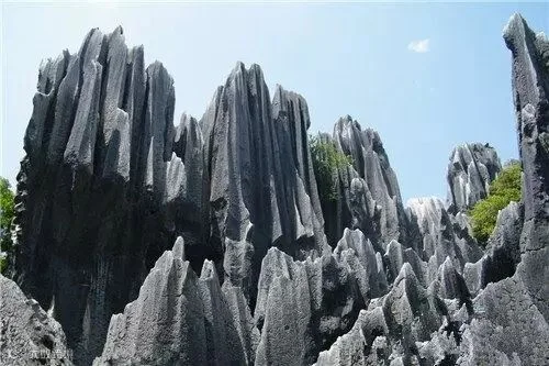 广西1_副本.jpg