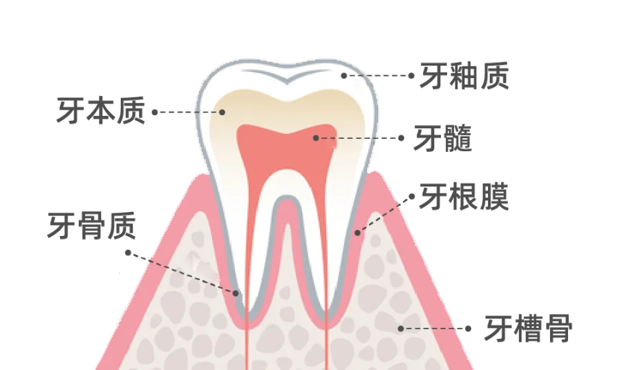 公众号配图-0722-1-07.png