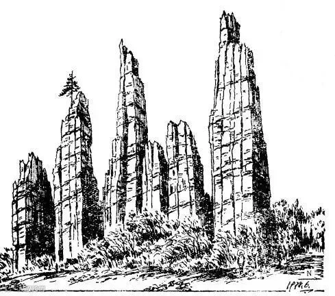 湖北巴东新家二叠系灰岩沿节理风化地貌.jpg
