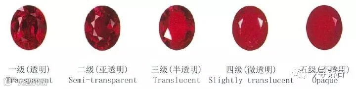 1564543894751278.jpg