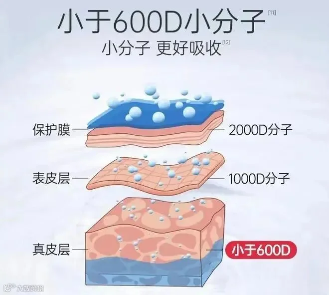 胶原蛋白结构.jpg