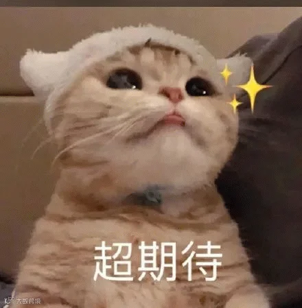 猫咪仰头盯星星眼表情包 超期待 星星眼期待 仰头盯期待 戴着可爱帽子的猫咪两眼放光 脸上写满超期待表情包图片gif动图 - 求表情网,斗图从此不求人!