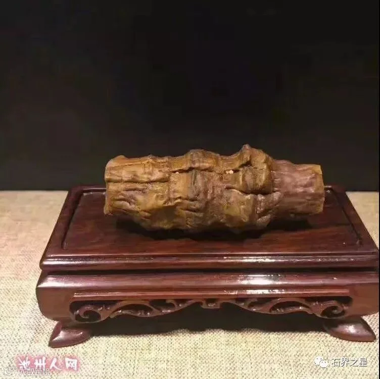 点击查看源网页