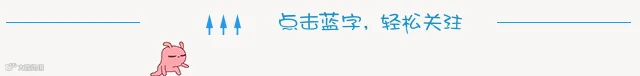 粉兔子动态引导关注