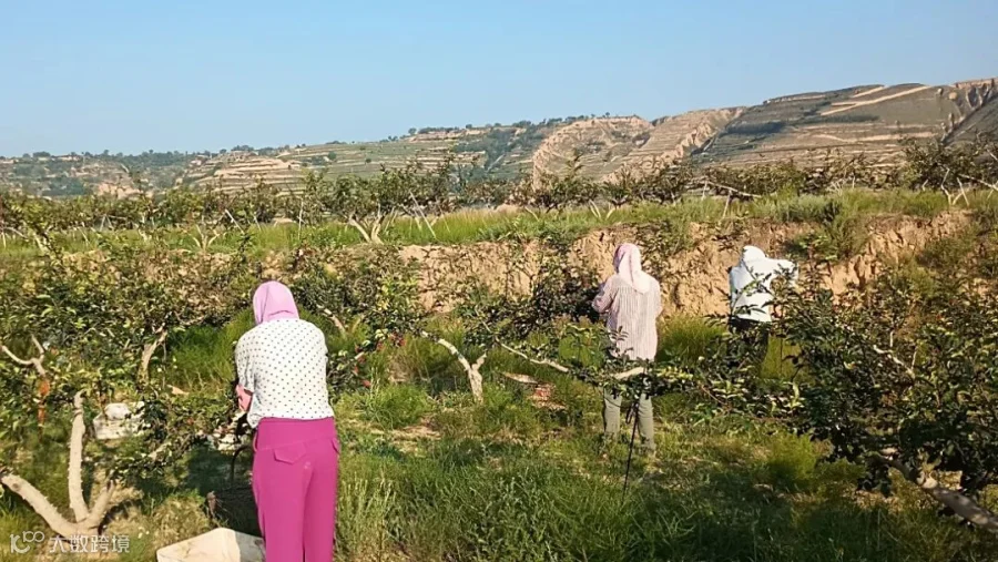 mmexport1754016082399.jpg