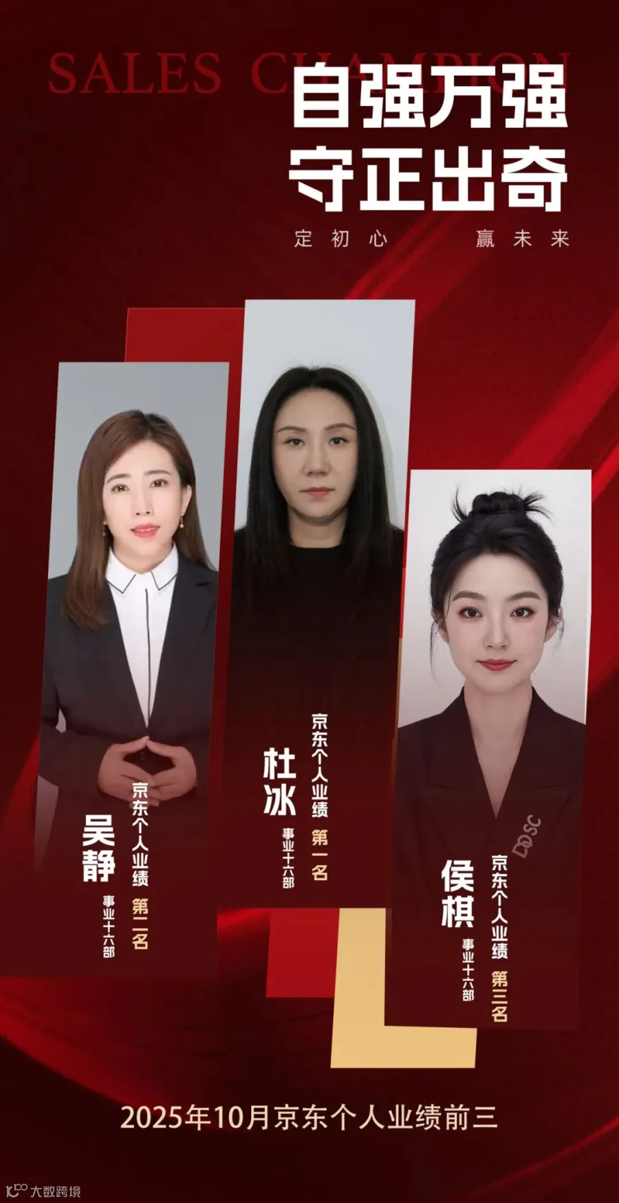 京东个人业绩模板.jpg