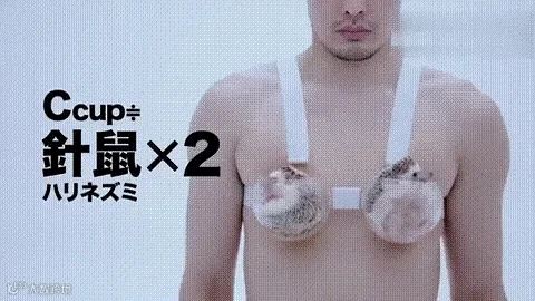 b0f8df444c4910ca3321fa1916f39383_640_wx_fmt=gif.gif