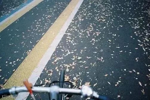 https://image.ipaiban.com/upload-ueditor-image-20171202-1512213683566012457.jpg