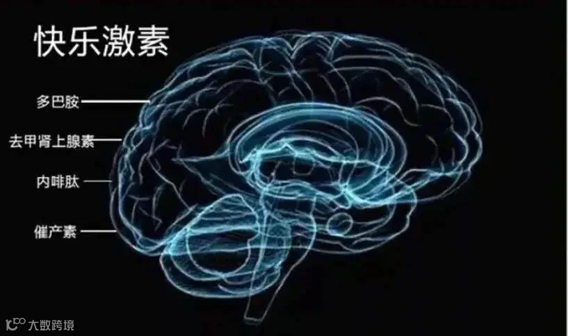 为什么男生接吻喜欢伸舌头 看到答案我脸红了...