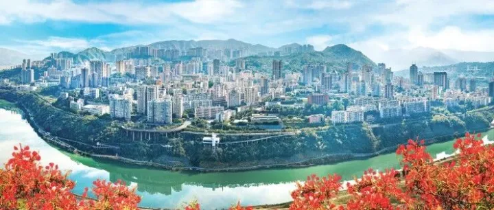 “花开有声”<em>攀枝花</em>