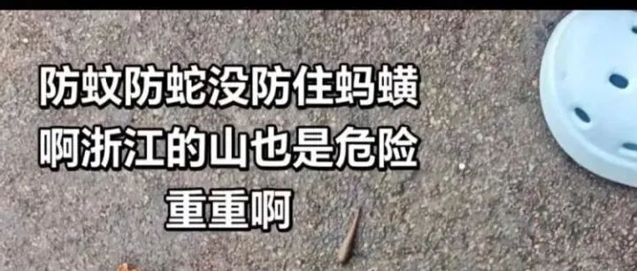旧事文摘：女子爬山被蚂蝗攻击伤口渗血7小时