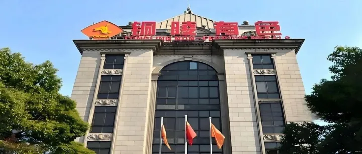 <em>铜陵</em>有色，刀刃向内！