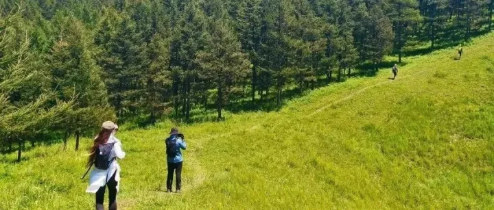 【周三、周末发团｜特价98】饮牛渠漫步天空草原一日穿越