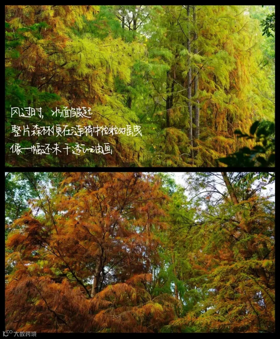 跨年朋友圈拼图跨年创意晒照小红书配图 (1).jpg