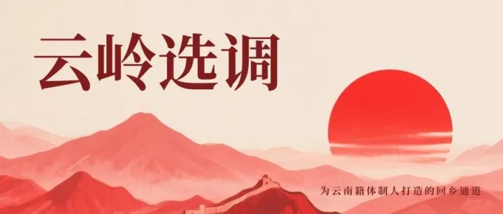 嵩明县2026年公开选调在编人员公告